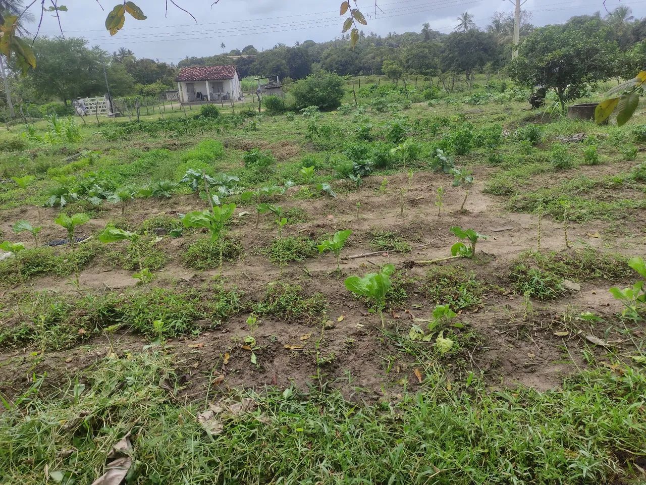 Sítio com casamuito bom na cidade  - Foto 2