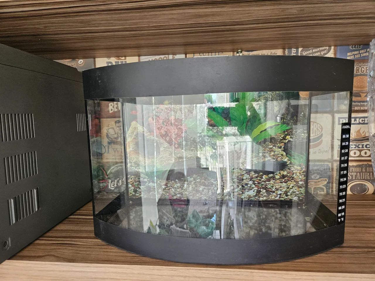 Aquário curvo de 26 litros