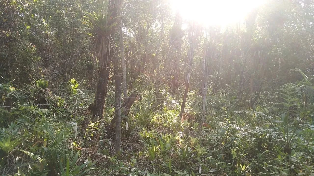2 TERRENOS ITAPOÁ - Foto 3