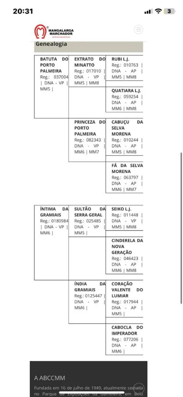 Vende-se uma potra  - Foto 6