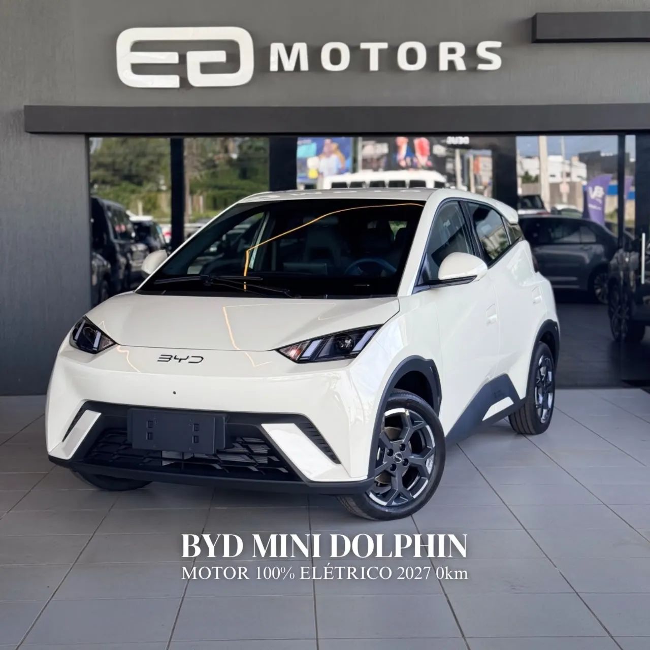 BYD Dolphin Mini (Elétrico) 2027