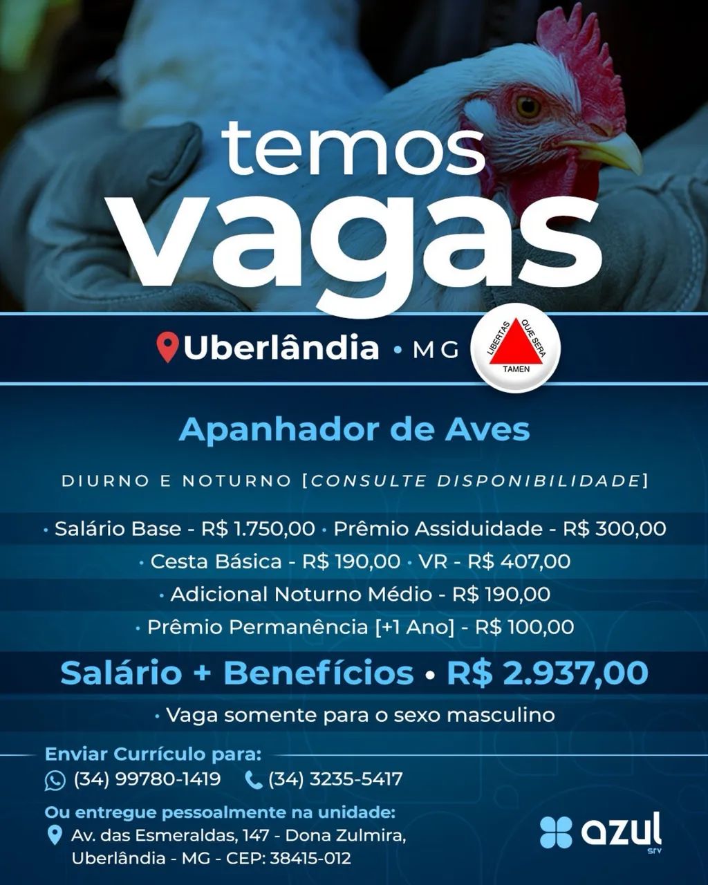 Apanhador de aves 