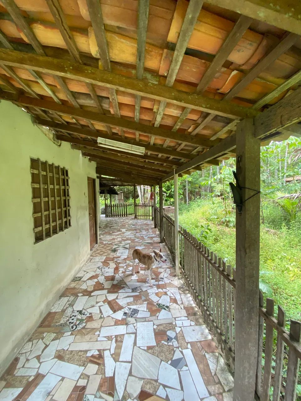 Vendo este terreno  - Foto 2