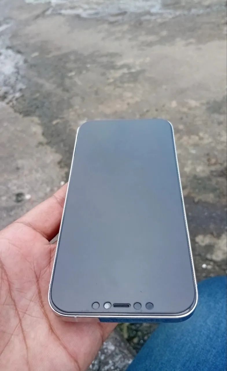 iPhone 12 Pro Max 