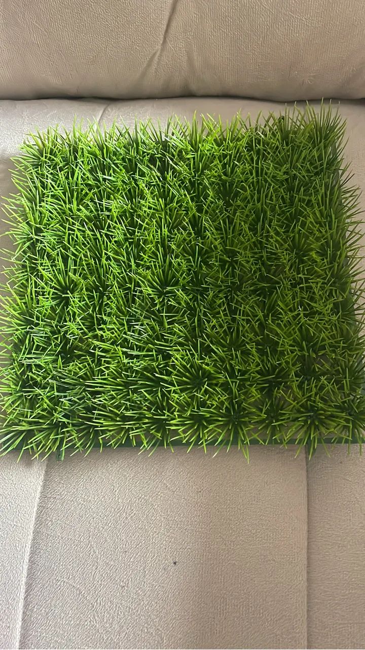 Itens para Festa - Foto 4