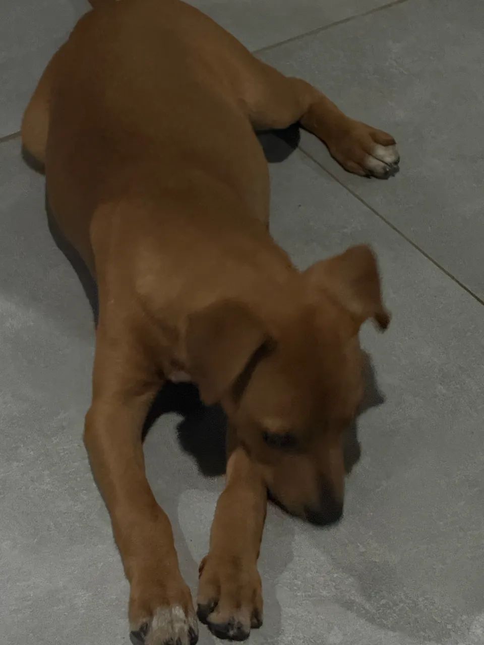 Doando - Foto 2