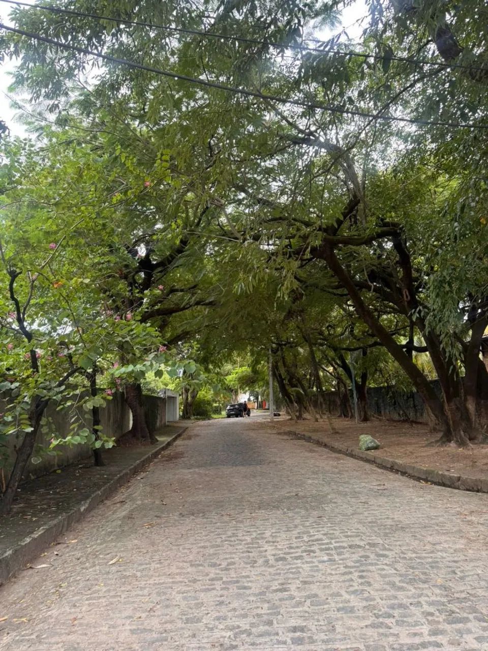 TERRENO 450m² -park 41 -Pina -Recife 