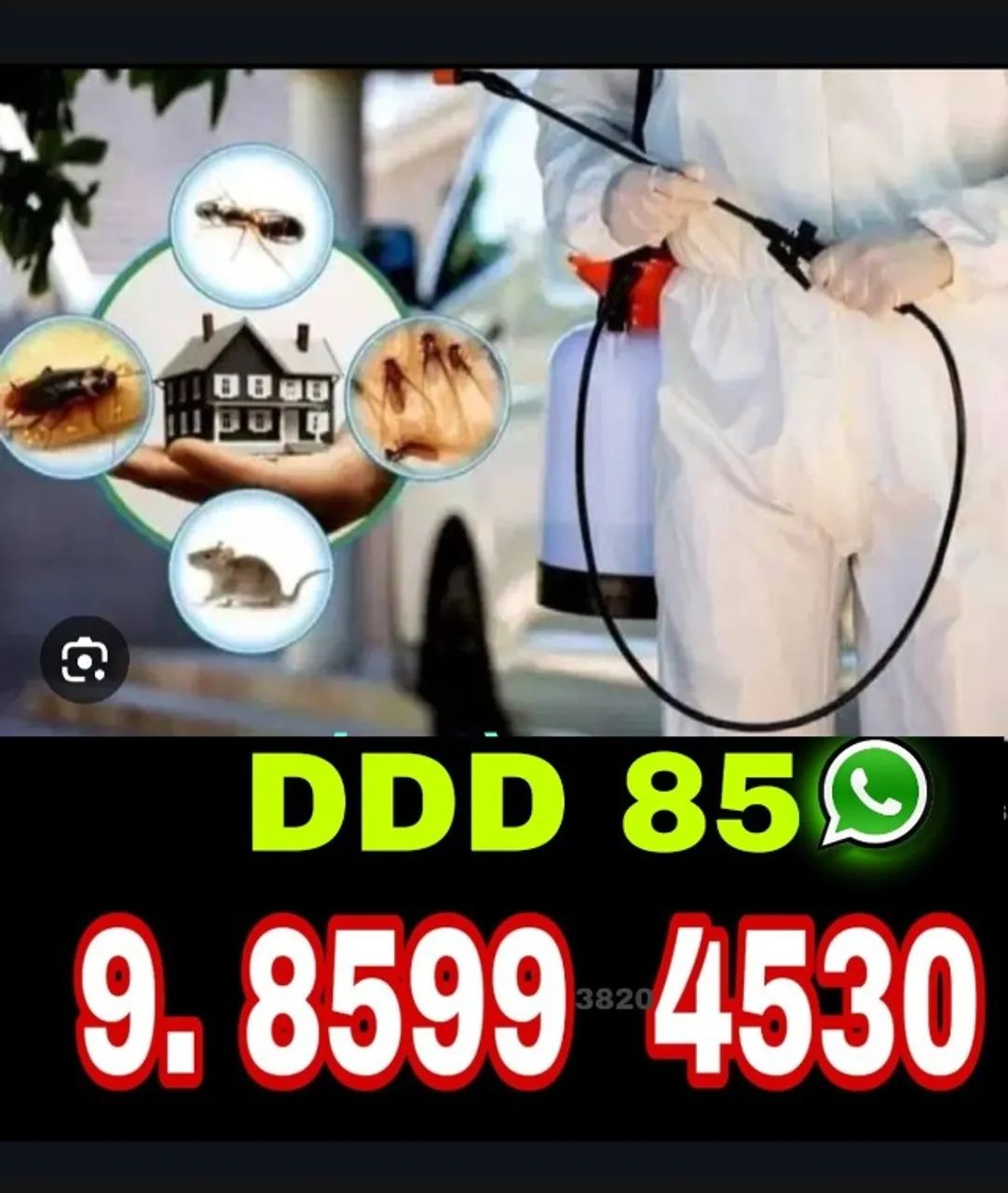 Dedetização Comercial com Atendimento Imediato