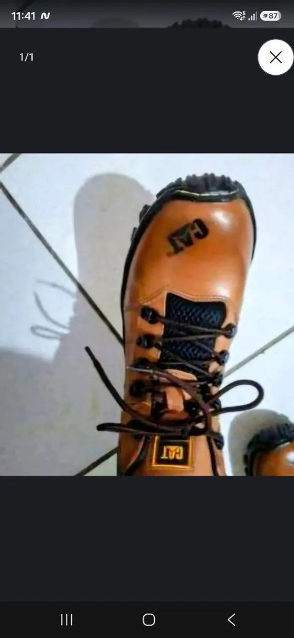 Bota