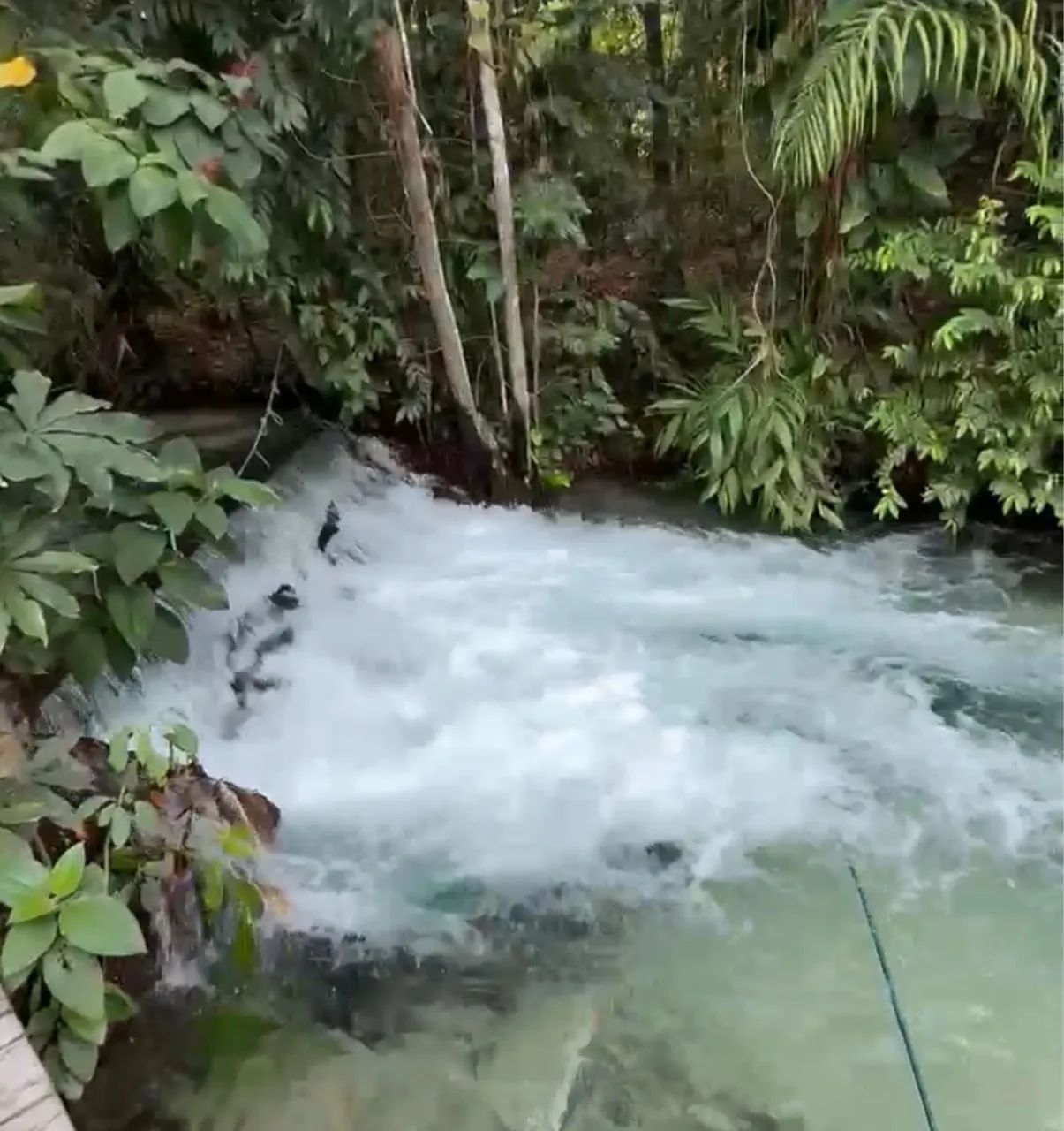 Vendo Cachoeira Paradisíaca no Rio Formiga - Jalapão - Foto 2