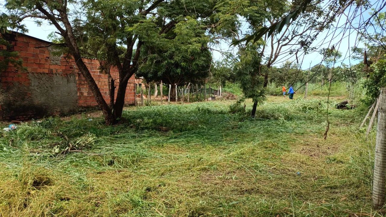 Lote cardeal  - Foto 2