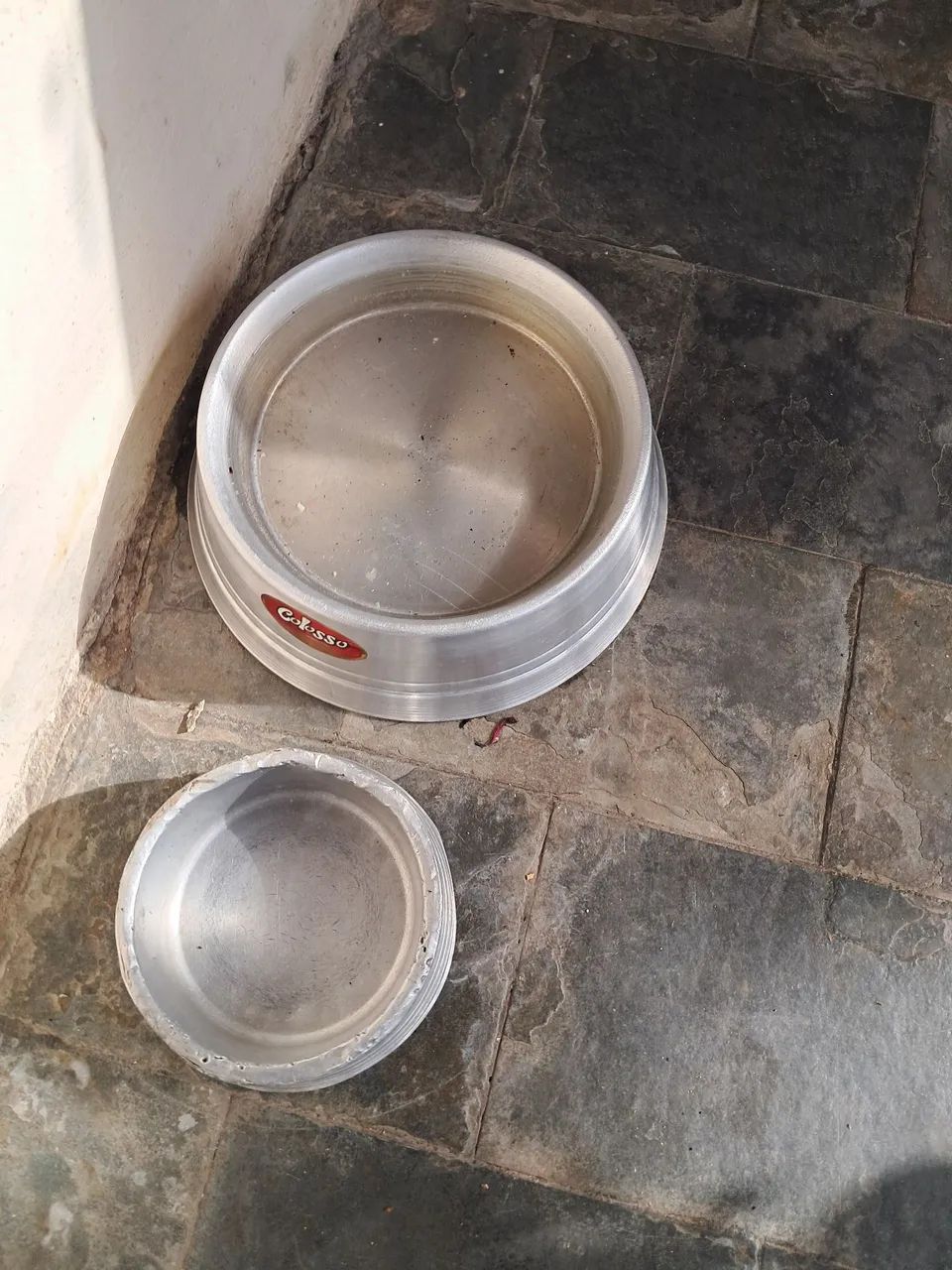 Labrador  - Foto 2
