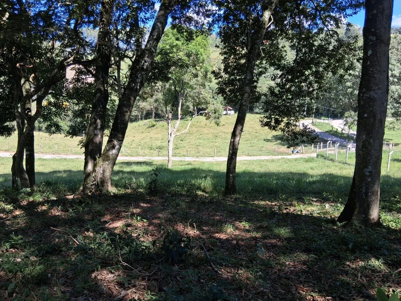 Terreno com 1.000  - Foto 4