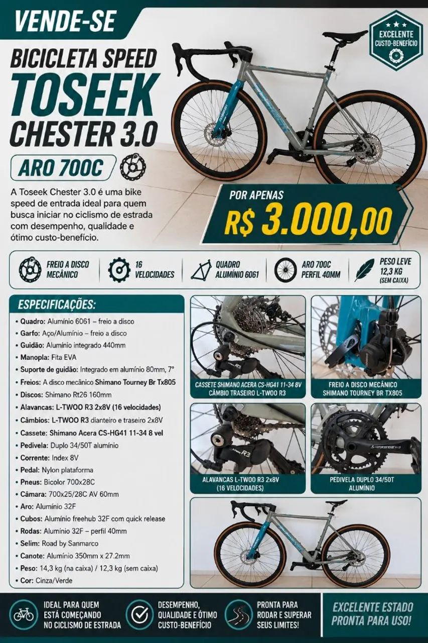 Bicicleta Speed