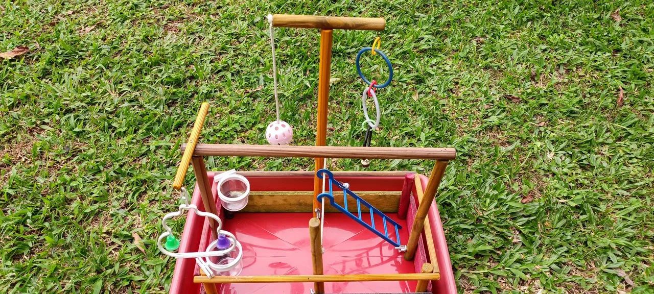 Calopsita - Playground (Parquinho) - Foto 3