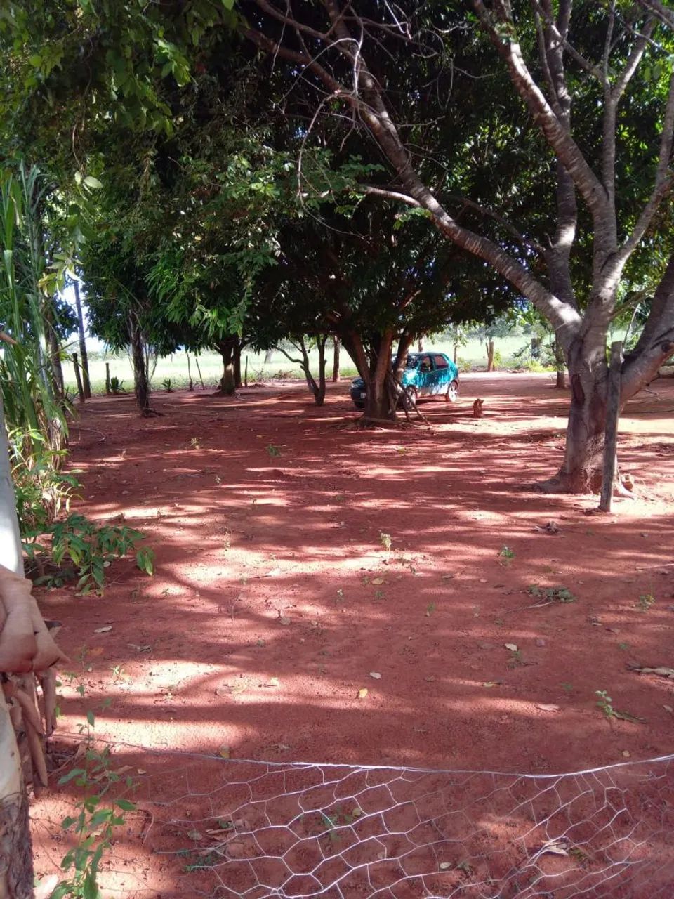 Chácara a venda  - Foto 4