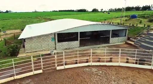 Sítio com 3 Alqueires - Oportunidade - Foto 3