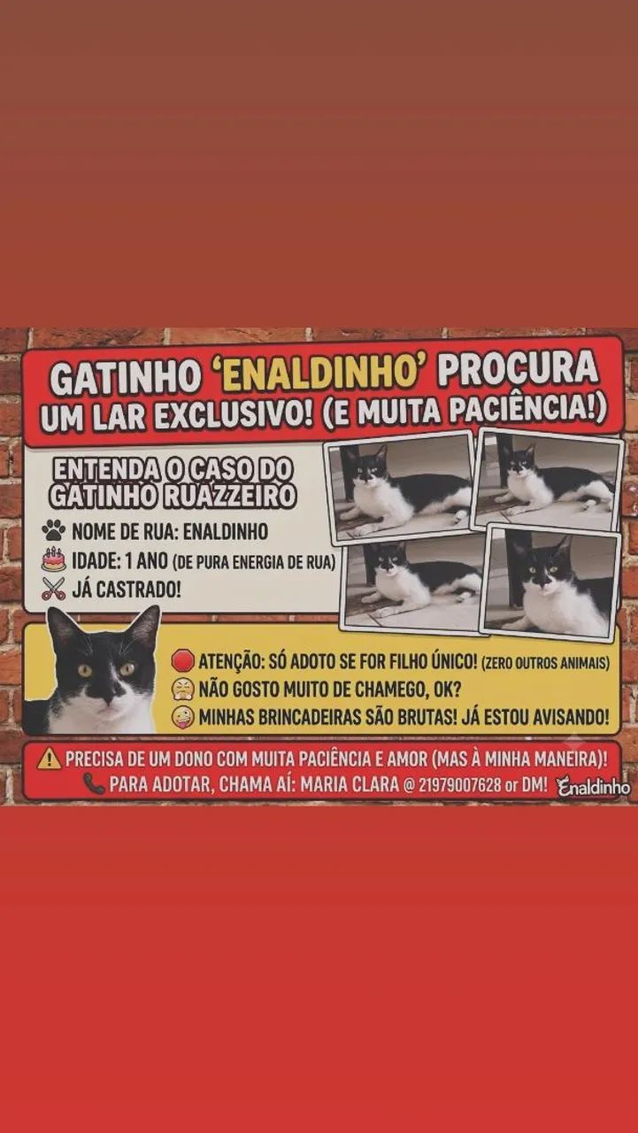 Adoção Responsável