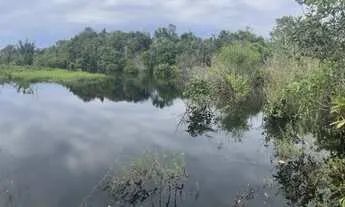 Terrenos para Chácaras Rústica de fundos para Rio Negro