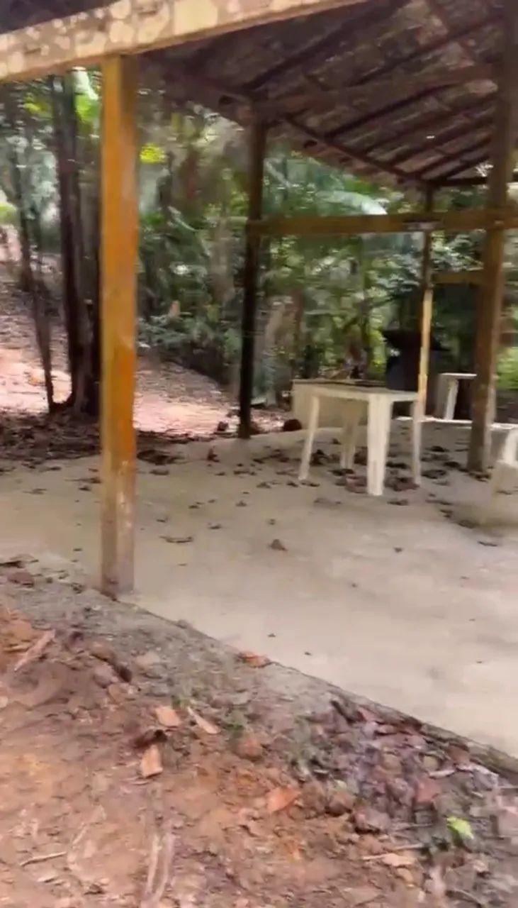 TERRENO COM IGARAPÉ PRIVATIDO DOCUMENTADO - Foto 3