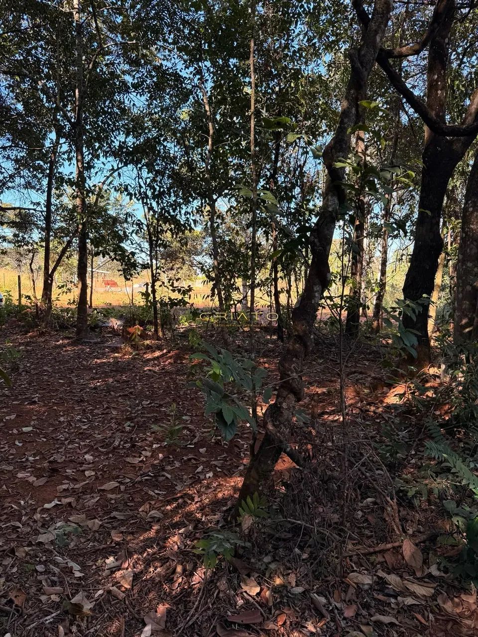 LOTE DE 1200m2 COM MATA NATIVA EM PIRENOPOLIS
