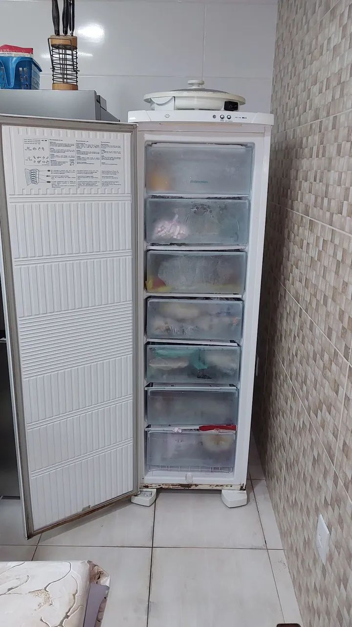 Freezer Electrolux RE 26 - Foto 4