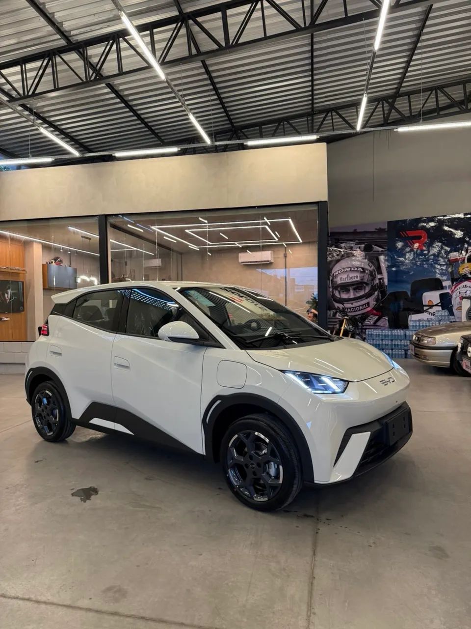 BYD Dolphin Mini (Elétrico) 2027 - Foto 5