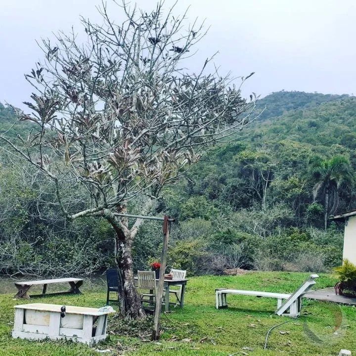 Terreno para Venda em Florianópolis, Praia Brava - Foto 3