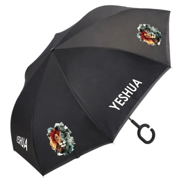 Guarda Chuva Dia dos Pais