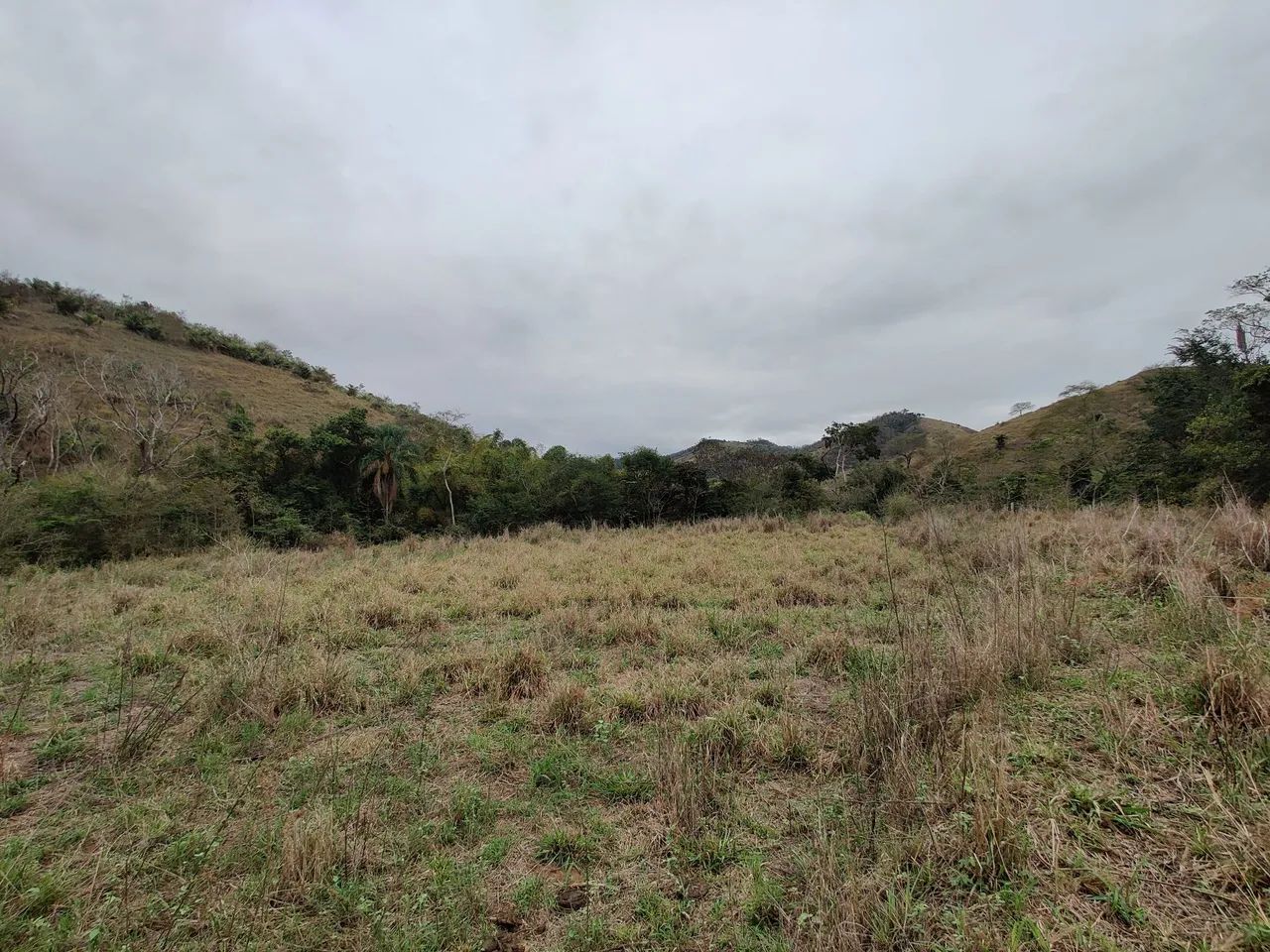 Fazenda em Afonso Cláudio - ES - Foto 2