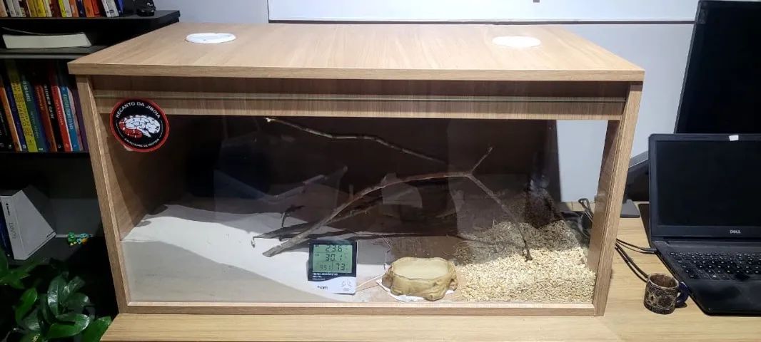 Terrário