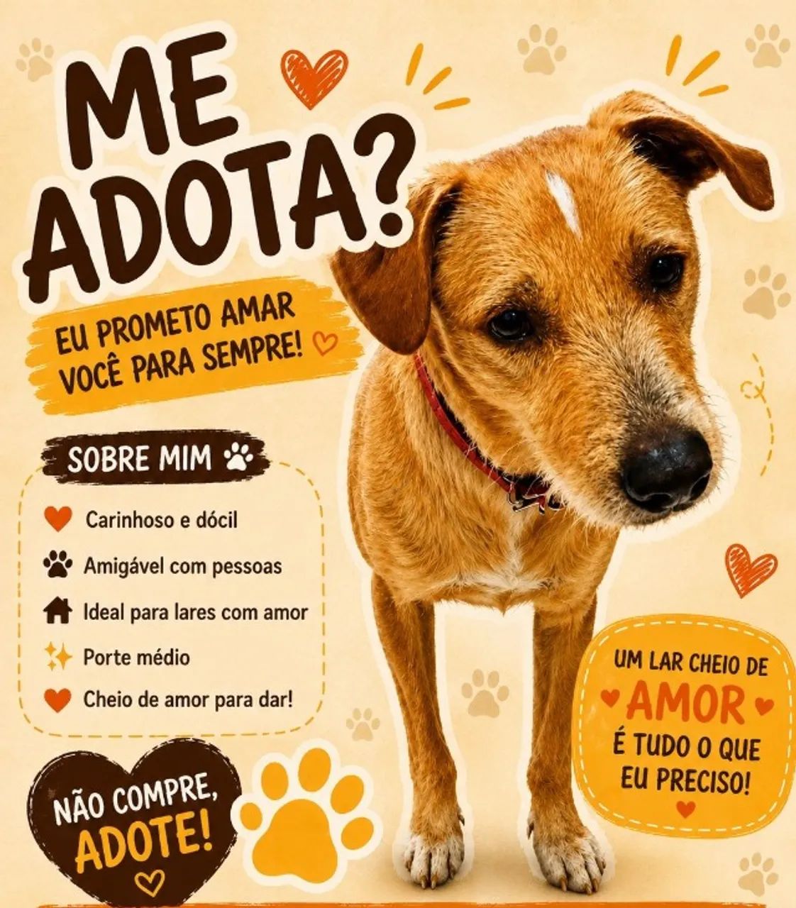 Cachorro SRD Caramelo - Doação