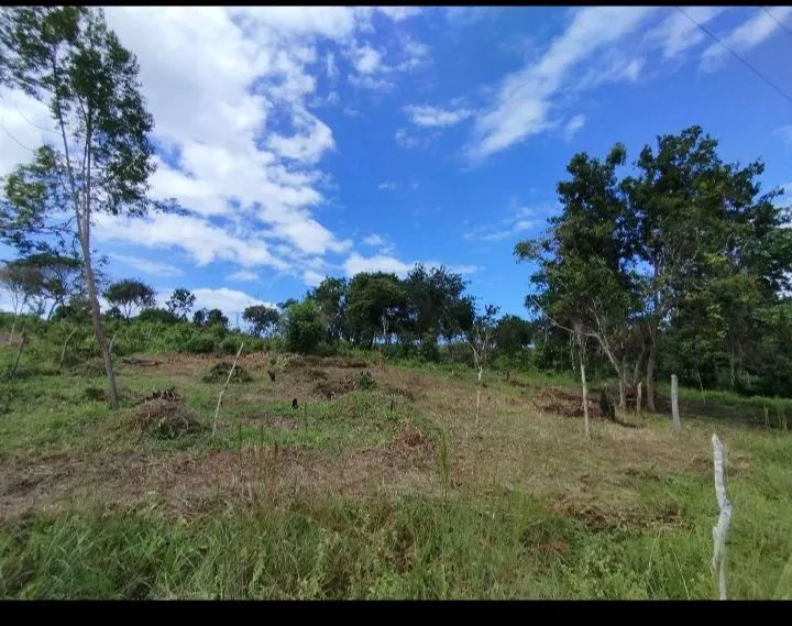 Terreno  - Foto 3