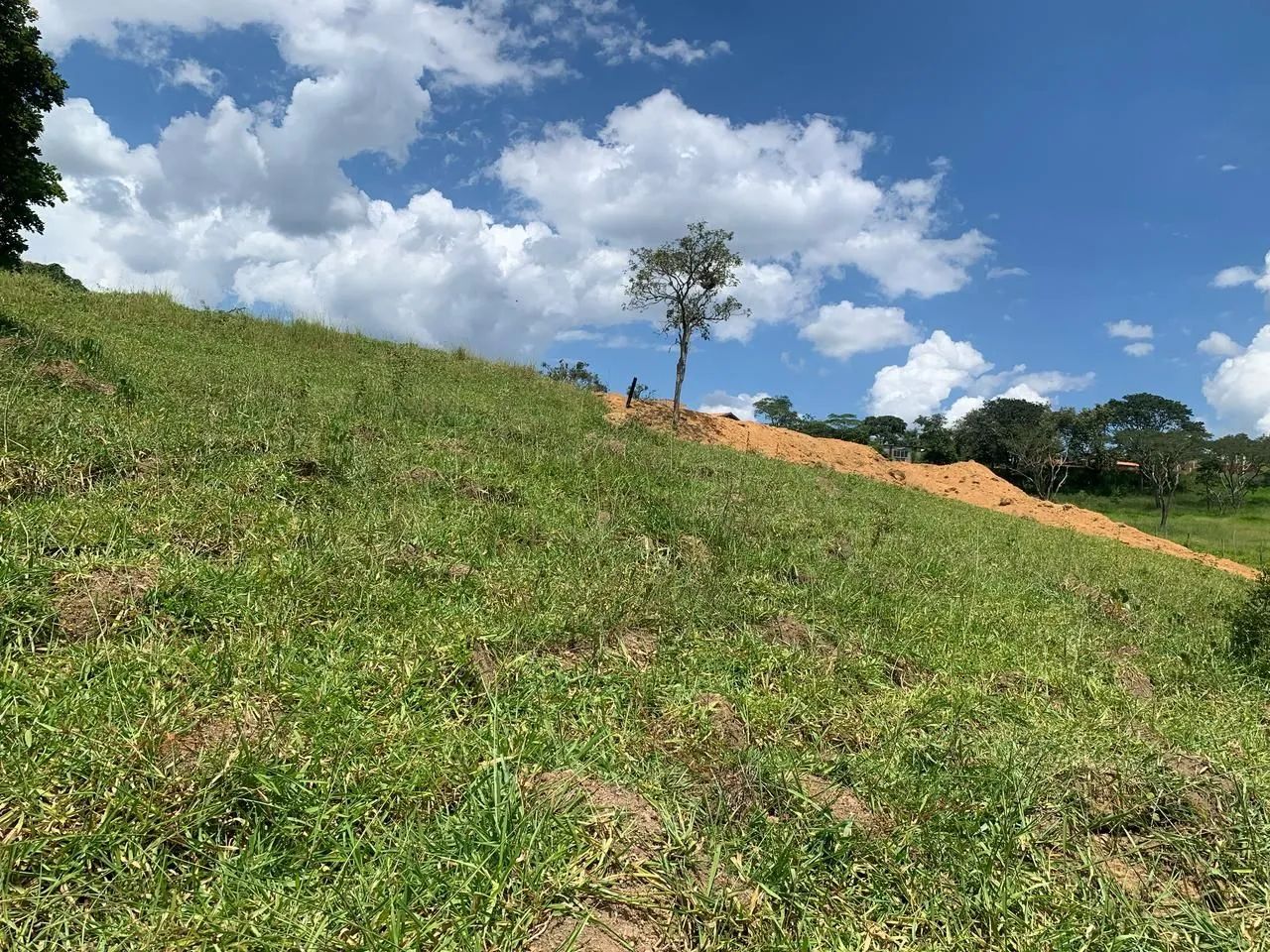 Terreno  - Foto 5
