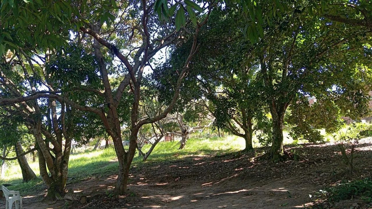 Sítio em BARRA DO JACUÍPE - Foto 3