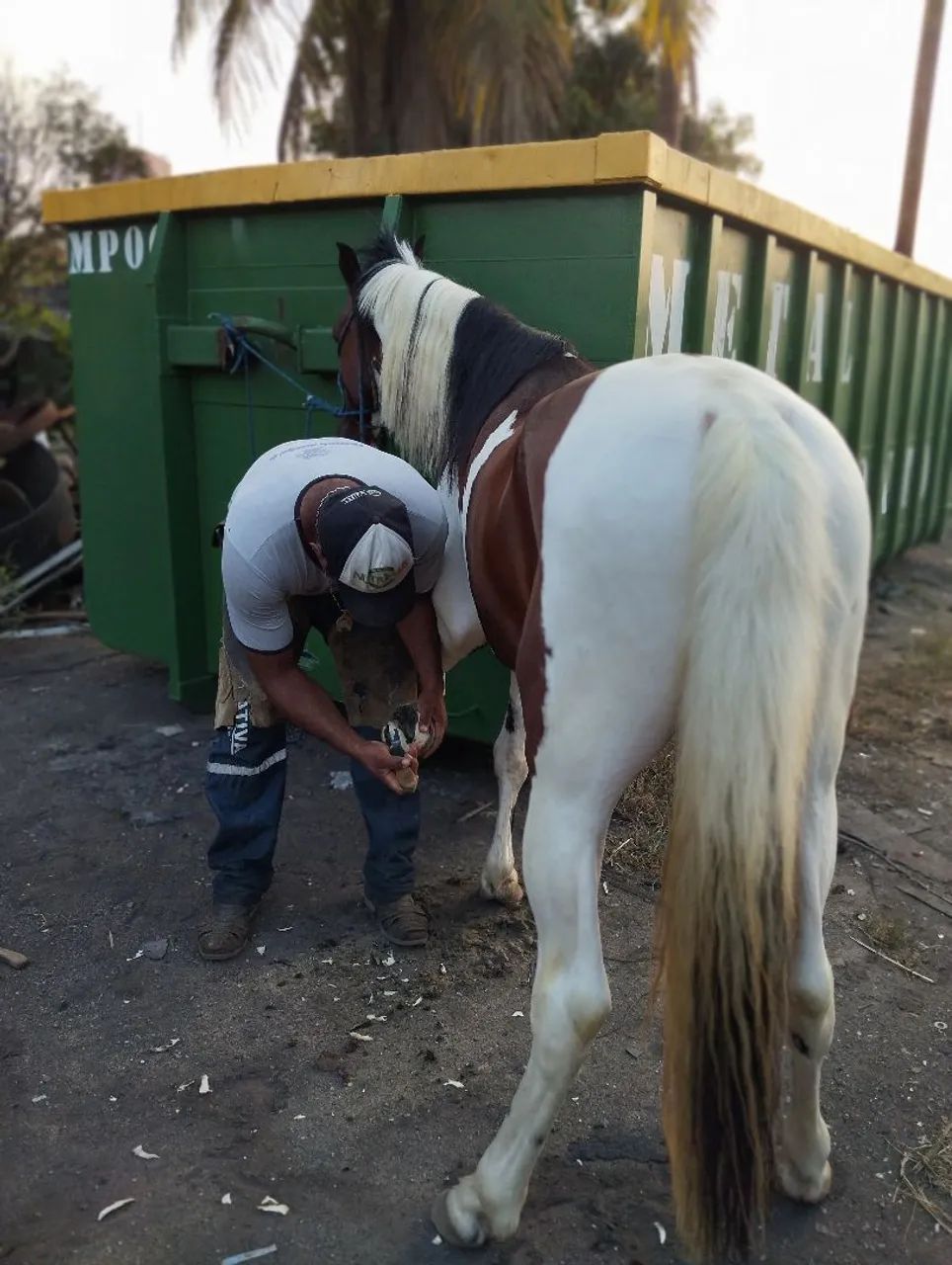 Maga larga machador pampa de castanho  - Foto 6