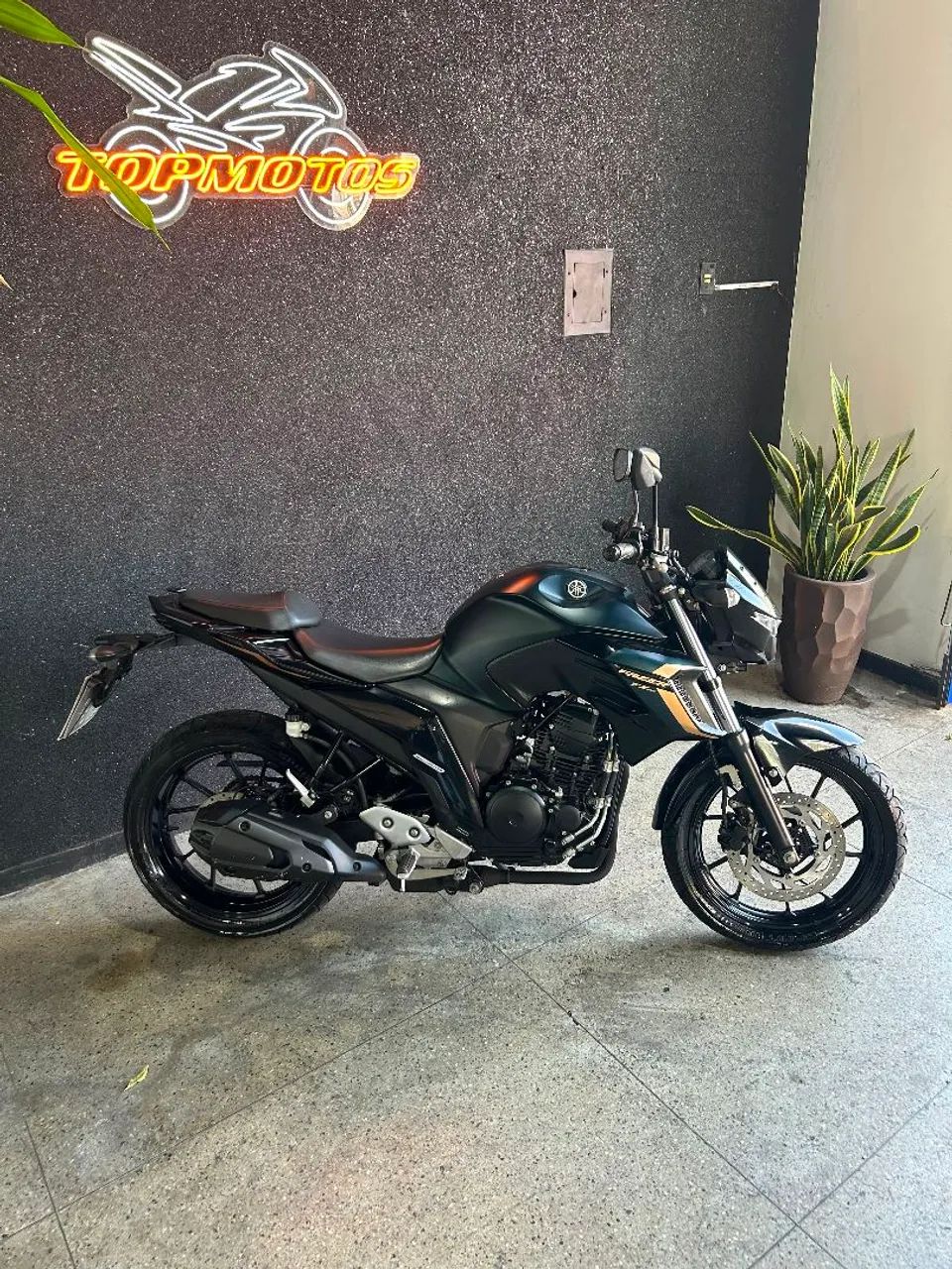FZ 25  - Foto 2
