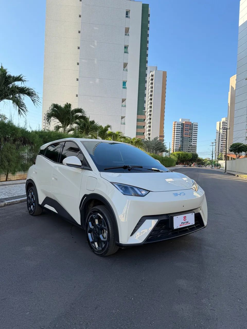 BYD Dolphin Mini (Elétrico) 2027 - Foto 2