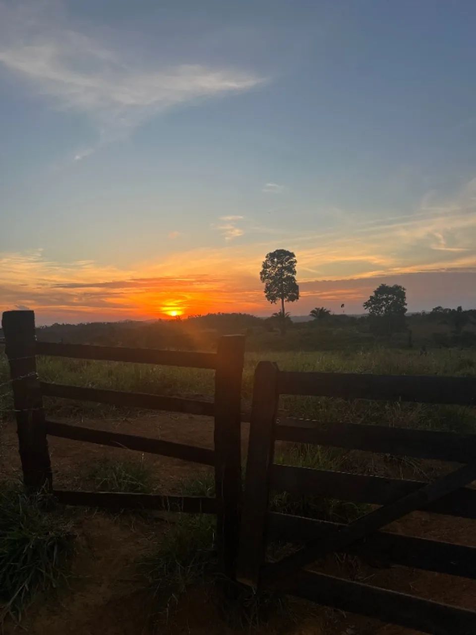 Terra de 10 alqueires "50 hectares" entre Marabá e Parauapebas 