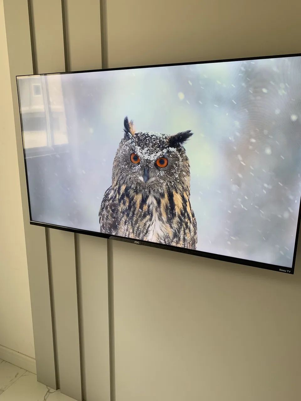 TV AOC Roku 55? polegadas