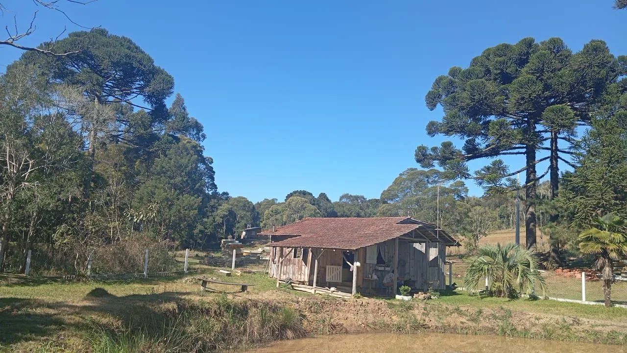 Chacrinha 