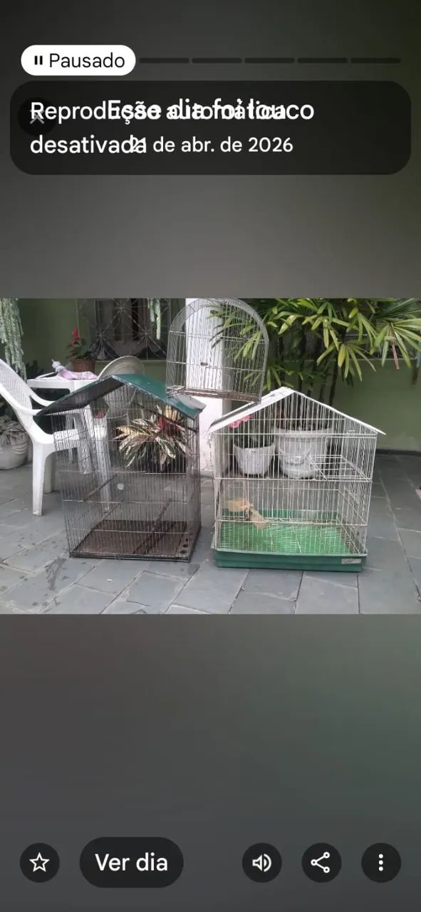 2 Viveiros e  1gaiola