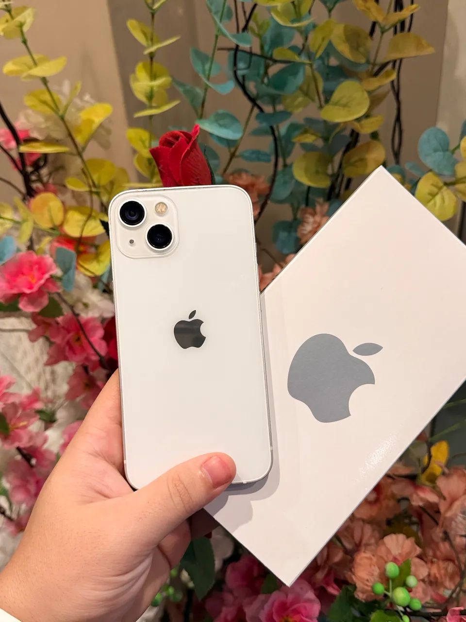 iPhone 13 