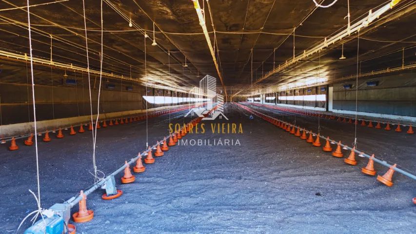GRANJA À VENDA COM 39 HECTARES | JEQUITIBÁ/MG - Foto 5