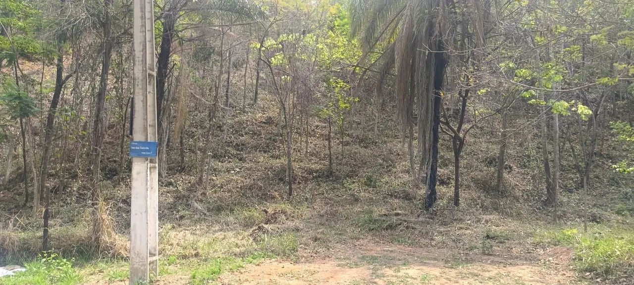 Lote em Lagoa Santa  - Foto 3
