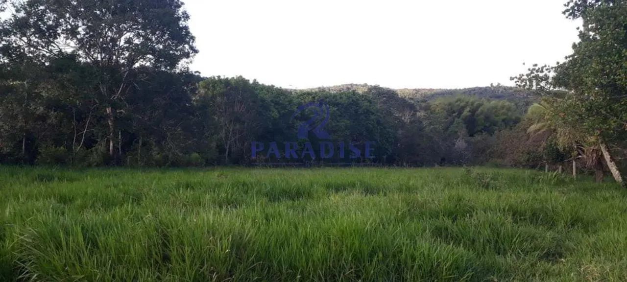 Fazenda, Centro, Araçás - R$ 2.5 mi, Cod: 68992 - Foto 4
