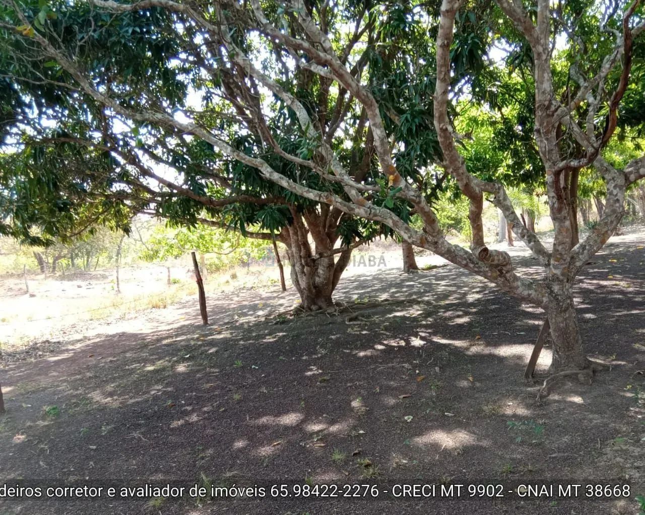 sítio de 30 hectares no assentamento comunidade sadia 3 - Foto 5