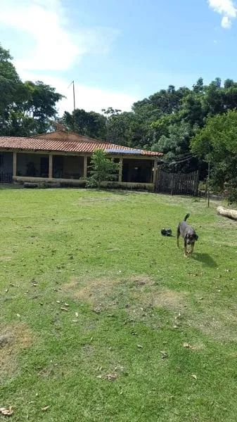 Chácara Beira de Rio formada em Rosario - Foto 5