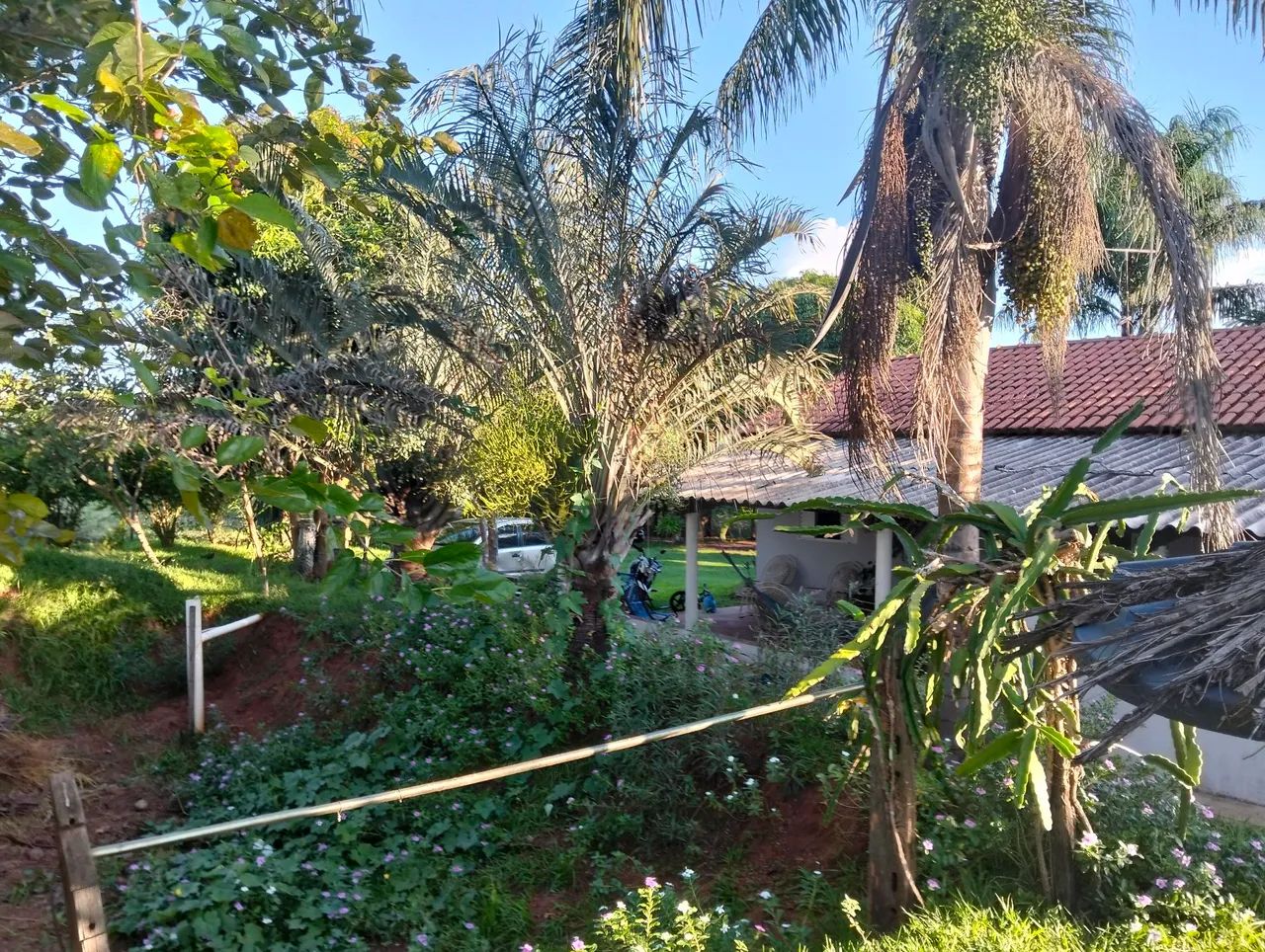 Sitio a venda em Mirandópolis-SP - Foto 2