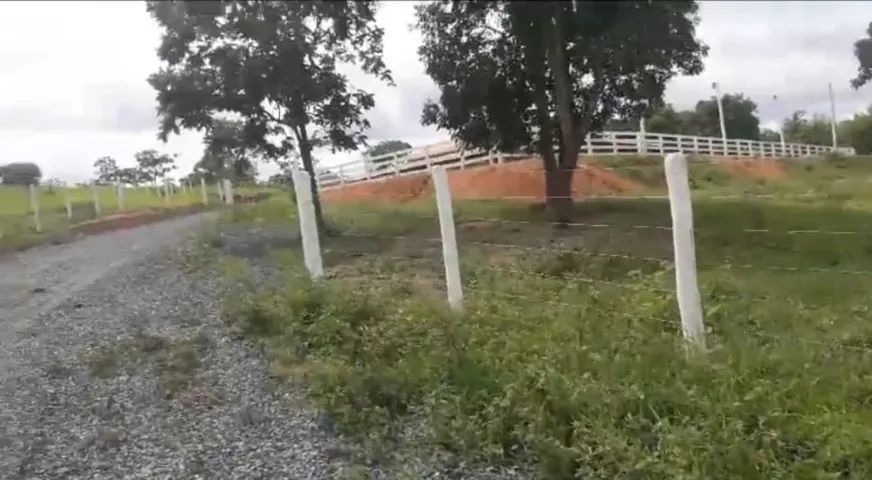 Pitangui/MG - Fazenda 67ha